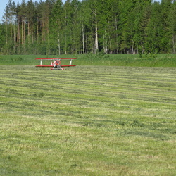 Personaalsed albumid (lauri)