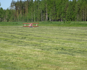 Personaalsed albumid (lauri)